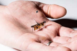 RoboFly w ręku inżyniera