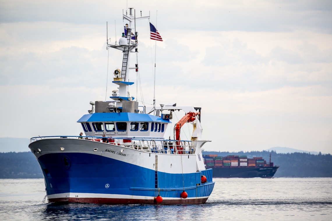 blue and white ship