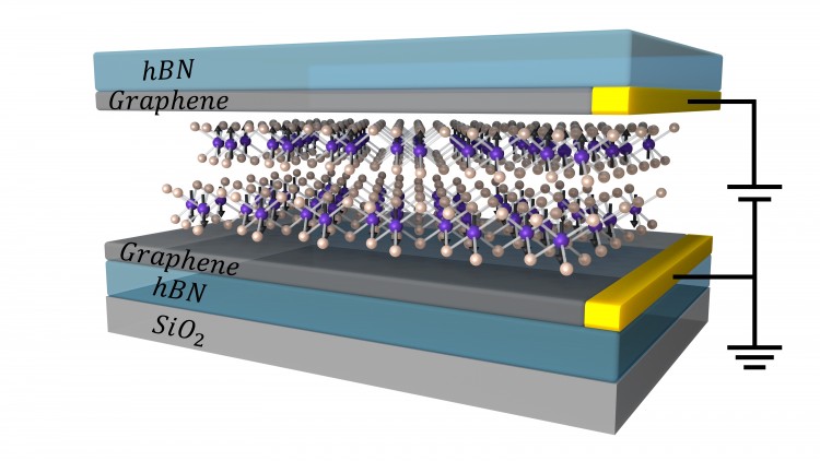 In the experiment, the researchers sandwiched two atomic layers of CrI3 between graphene contacts and measured the electron flow through the CrI3.