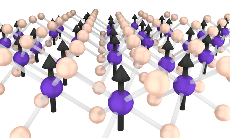 A depiction of the crystal structure of chromium triiodide (CrI3), with chromium atoms shown in purple and iodine atoms in yellow. The black arrows represent the electron "spins," which are analogous to tiny bar magnets.