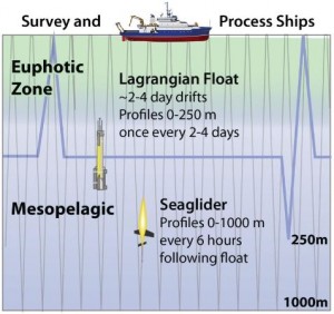graphic of instruments in water