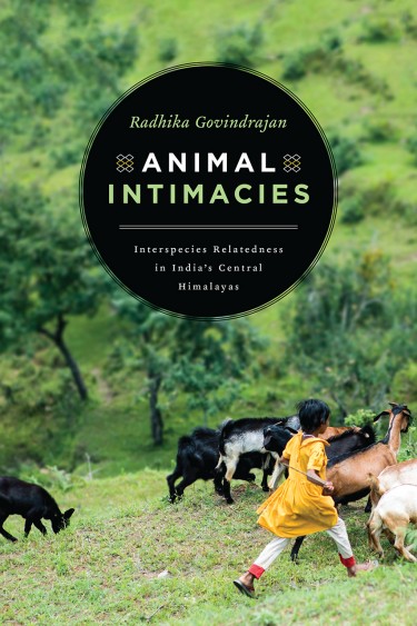 "Animal Intimacies," by UW assistant professor of anthropology Radhika Govindrajan, was published by University of Chicago Press.