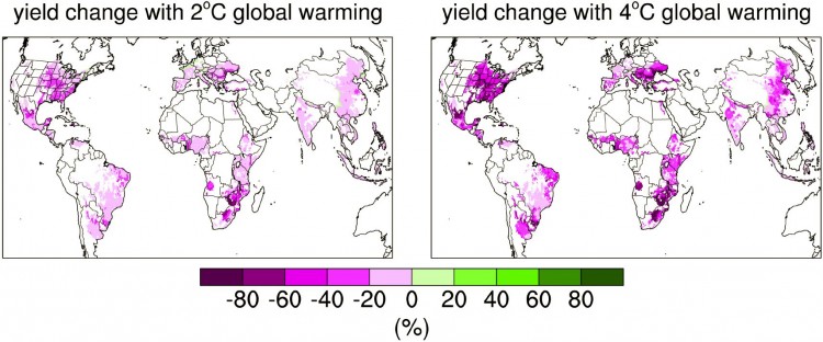 world map shaded pink