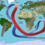 Depiction of Atlantic circulation with red arrows pointing north and blue arrows pointing south.