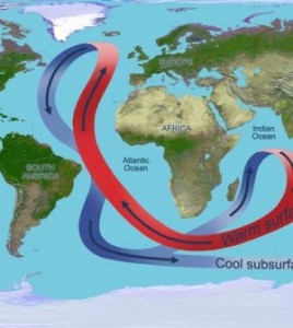 Depiction of Atlantic circulation with red arrows pointing north and blue arrows pointing south.