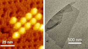 Microscopic image of proteins assembling into potentially useful structures.