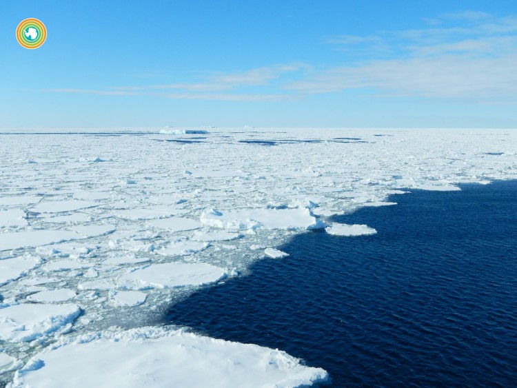 Antarctic sea ice