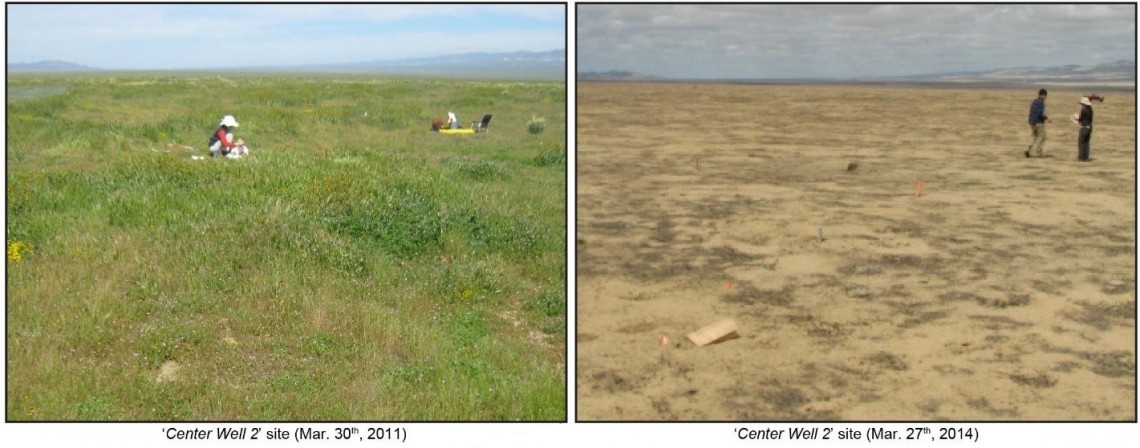 comparison of site before and during drought