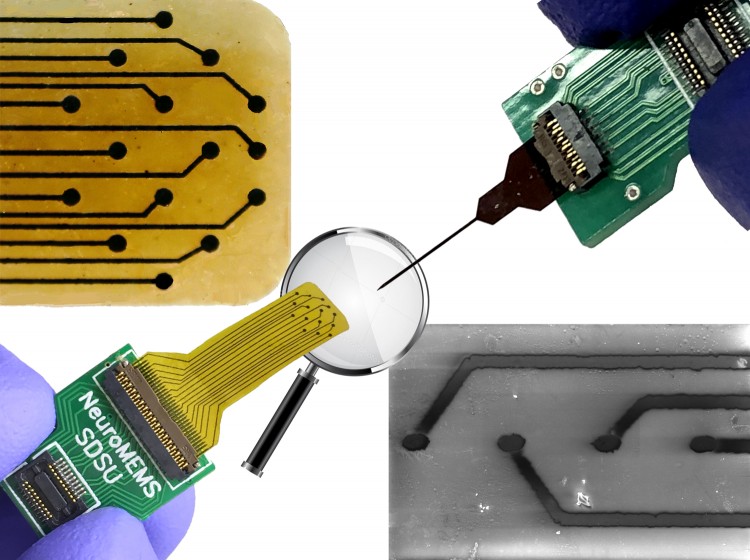 A new probe that provides a robust platform to help us understand how the brain works