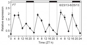 A figure from a scientific paper