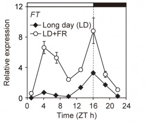 A figure from a scientific paper