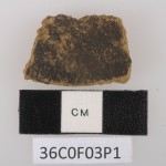 A potsherd artifact found at the Pulau Ay archaeological site. It was one of several pottery pieces containing traces of foods, including the earliest-known use of nutmeg. Photo of small piece of pottery.