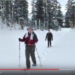 people cross-country skiing