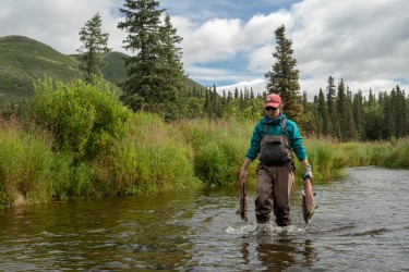walking with sockeye