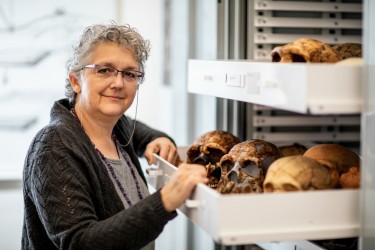 Patricia Kramer, a University of Washington professor of anthropology, is part of an international team that completed a virtual 3D reconstruction of portions of a Neandertal skeleton. Here, she shows part of the collection of model Neandertal skulls at Denny Hall.