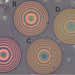 An image of four lenses under a microscope.