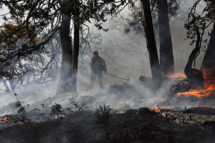 prescribed burning