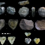 These artifacts found in China are among the nearly four dozen that reflect the Levallois technique of toolmaking. In a paper published Nov. 19 in Nature, researchers date these artifacts to between 80,000 and 170,000 years ago. Photo of various stones, shaped by knapping.