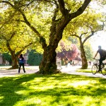 bicyclist riding through the quad on a sunny day