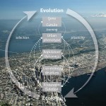 The cycle of eco-evolutionary feedback -- the topic of a new research coordination network funded by the National Science Foundation.