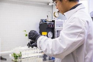 a scientist puts a plant into a glass tube