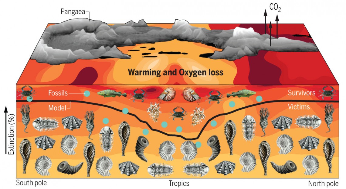 orange and red ocean with fossil images