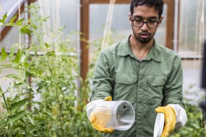 a graduate student catches a bee inside a jar