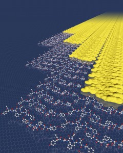 Picture of how small protein molecules interact with one another.