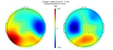 This colored “scalp map” (viewed from the top of a child’s head with the nose forward), shows the average amount of brain activity measured by EEG sensors one second prior to a tap delivered to the middle finger of the child’s left or right hand. The image shows that children’s brains register a change in activity in predicted regions (see the dark blue on the scalp map) after they are primed to which hand will receive a tap, in the second prior to receiving the touch. Output of an EEG scan of a brain.