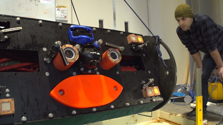 a researcher inspects an AMP