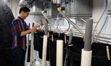 measuring ph in tanks