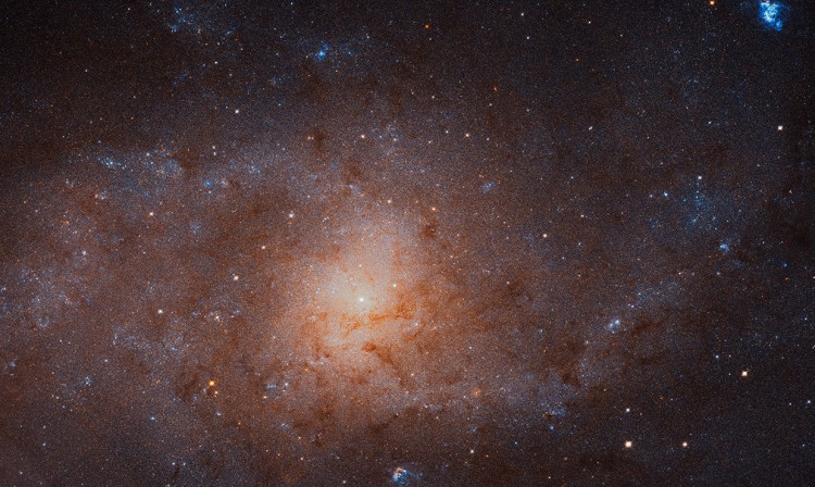 An image of a nearby galaxy called M33.