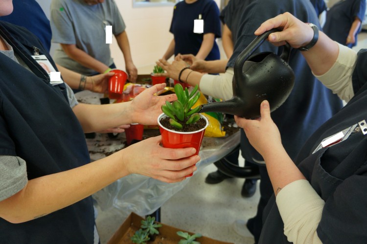 Exposure to nature, even through a brief gardening activity, can improve well-being among women in prison, a UW Tacoma-led study finds. Photo of women watering a plant.