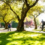 person riding bike through quad