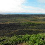 The landscape surrounding a thaw bog in Alaska