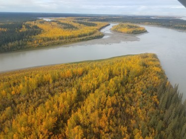 Fall colors along the banks of the Yukon River. 