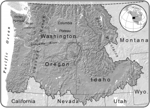 gray map of Northwest states