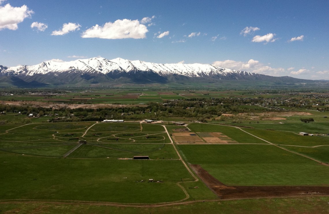 green fields with mountains in background