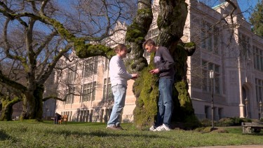 two data collectors by a tree