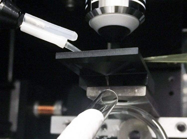 Image of a microscope used to visualize the mosquito brain