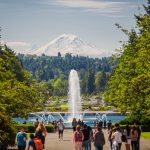rainier vista