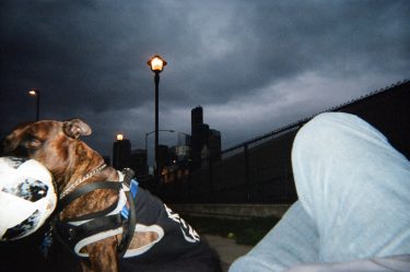 Person and a dog with ball on Seattle street