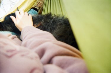 Dog on person's lap in a hammock