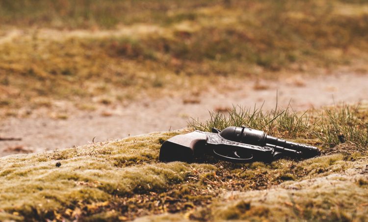 Gun in field grass
