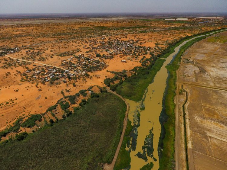 overview of river in senegal