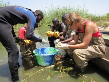 sampling snails
