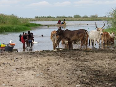using the local river access