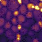 an image showing the surface of a solar cell, and which sections of the surface are susceptible to heat loss