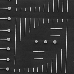 An image of small golden discs and rods used in an experiment