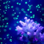 microplastics seen in a water tank
